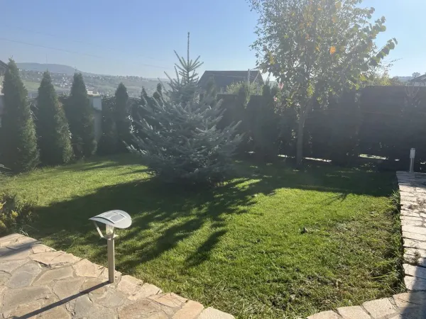 Casă 4 camere Vișan - poza 7