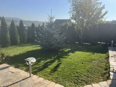 Casă 4 camere Vișan - poza 7