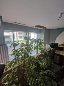 Spațiu comercial București - poza 20