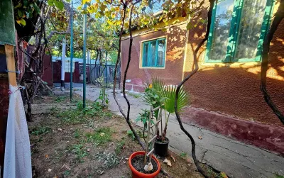 Casă 4 camere București - poza 2