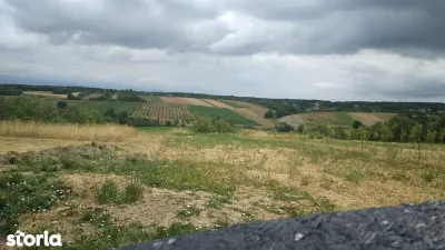Ag EUROPA vinde 14 ari teren central in Ardud cu toate utilitatile. - Ardud