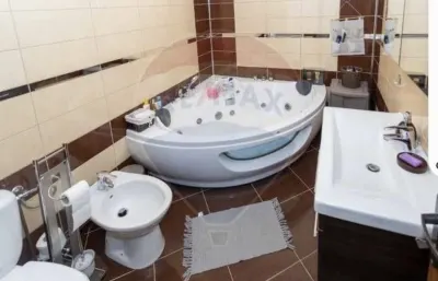 Casă 2 camere Mediesu Aurit - poza 4