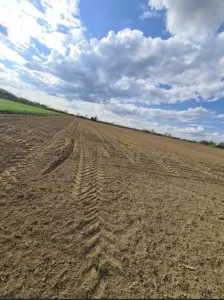 Vand teren extravilan in Martinesti - Martinesti
