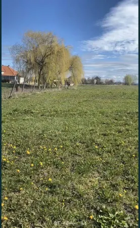 Teren Decebal - poza 4