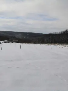 Teren Barsau de Jos - poza 1