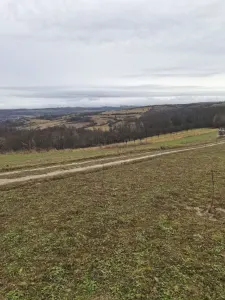 Teren Barsau de Jos - poza 3