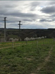 Teren Barsau de Jos - poza 5