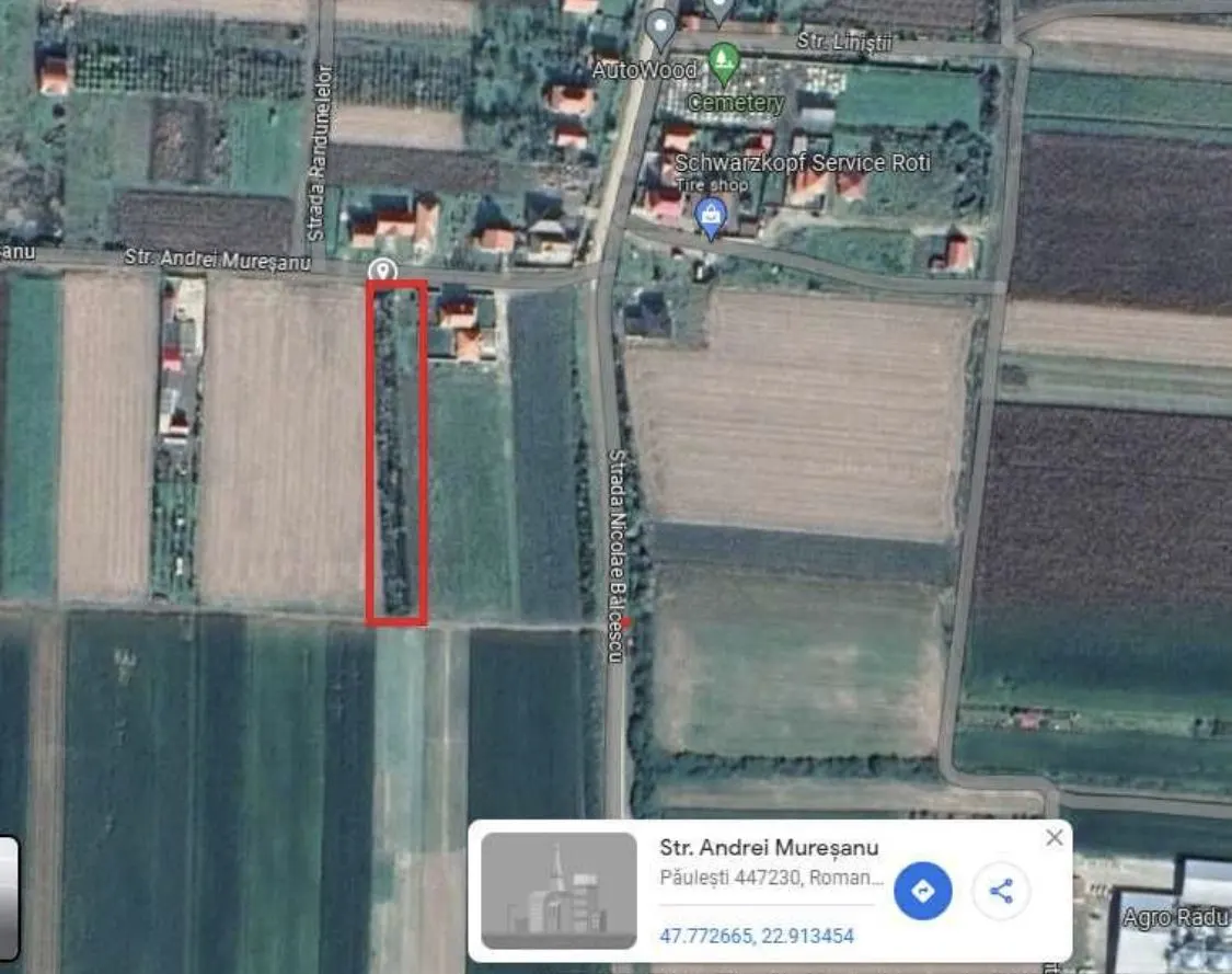 Teren Păulești - poza 1