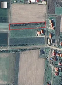 Teren Păulești - poza 4
