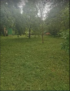 Casă 2 camere Bercu - poza 3