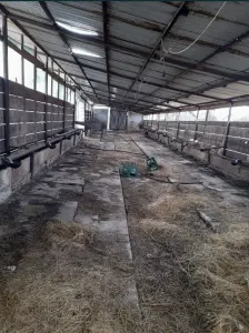 Casă 3 camere Craidorolt - poza 7