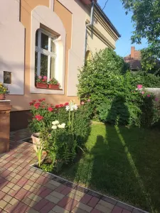 Casă 4 camere Satu Mare - poza 2
