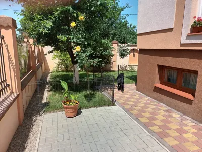 Casă 4 camere Satu Mare - poza 3