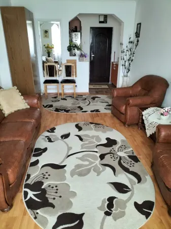 Apartament 3 camere Satu Mare - poza 1