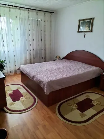 Apartament 3 camere Satu Mare - poza 3