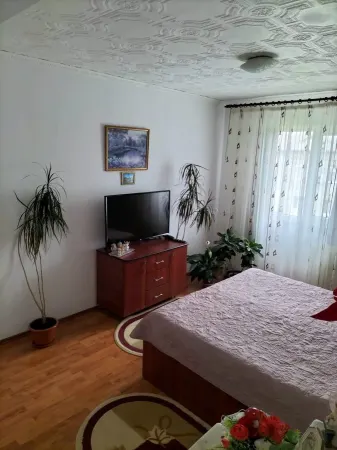 Apartament 3 camere Satu Mare - poza 4