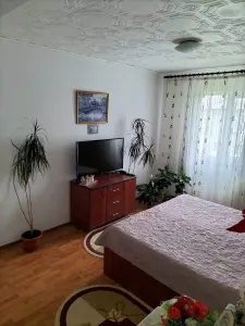 Apartament 3 camere Satu Mare - poza 4