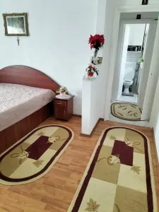 Apartament 3 camere Satu Mare - poza 5