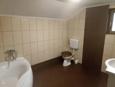 Casă 6 camere Satu Mare - poza 4