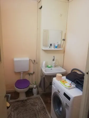 Apartament 3 camere Satu Mare - poza 3