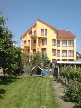 Casă 16 camere Satu Mare - poza 3