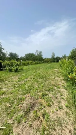 Teren Satu Mare - poza 1
