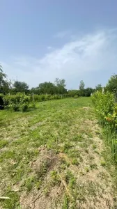 Teren Satu Mare - poza 1