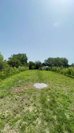 Teren Satu Mare - poza 2