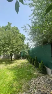 Teren Satu Mare - poza 3