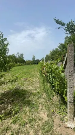 Teren Satu Mare - poza 4