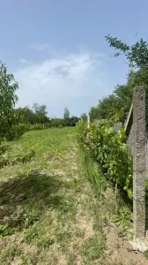 Teren Satu Mare - poza 4
