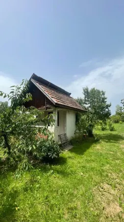 Teren Satu Mare - poza 8