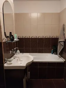 Apartament 3 camere Satu Mare - poza 5