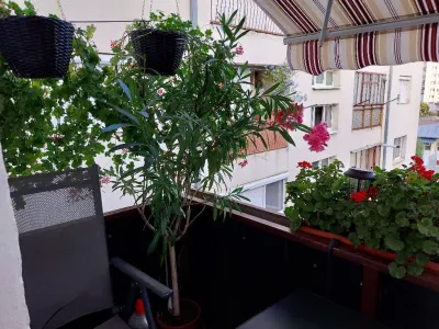 Apartament 3 camere Satu Mare - poza 8