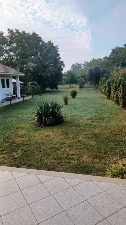 Casă 4 camere Satu Mare - poza 8
