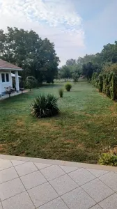 Casă 4 camere Satu Mare - poza 8