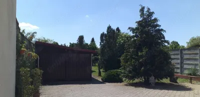 Casă 6 camere Satu Mare - poza 2