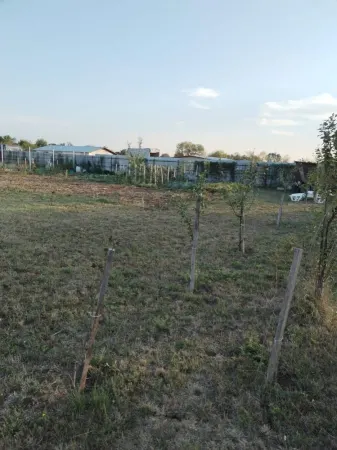 Teren Satu Mare - poza 3