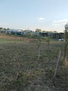 Teren Satu Mare - poza 3