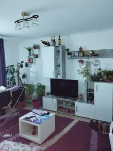 Apartament 3 camere Satu Mare - poza 1