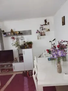 Apartament 3 camere Satu Mare - poza 2