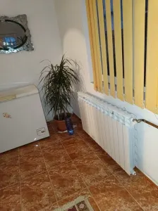 Casă București - poza 3