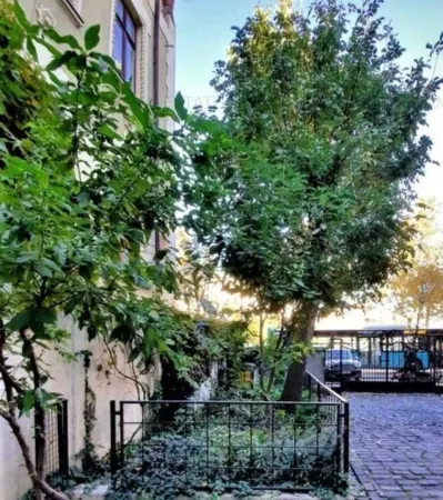 Apartament 3 camere București - poza 7