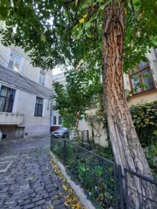 Apartament 3 camere București - poza 8