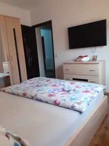 Apartament 3 camere Satu Mare - poza 3