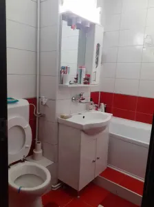 Apartament 3 camere Satu Mare - poza 8