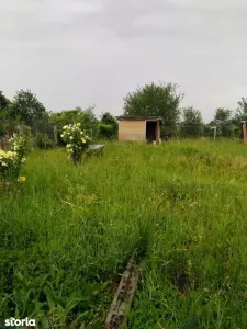 Ag EUROPA vinde teren intravilan cu toate utilitățile în Ardud. - Ardud