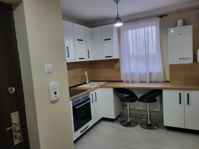 Apartament 2 camere Satu Mare - poza 3