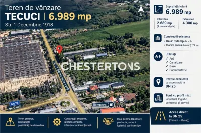 Teren de vanzare  intrare Tecuci , potential comercial, retail,  industrial, agricol – 6.989 mp - Tecuci