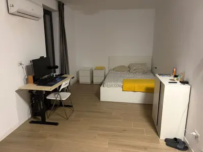 Apartament 1 camera Timișoara - poza 2